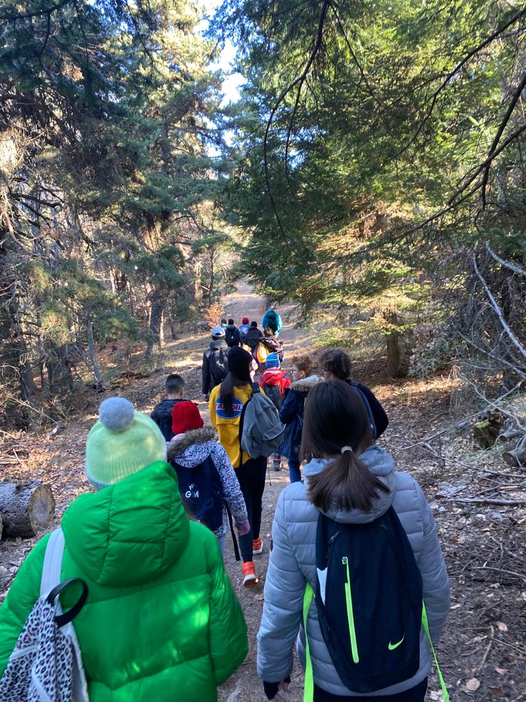 Randonnées en pleine nature lors des colonies pour enfants organisées par LSCA