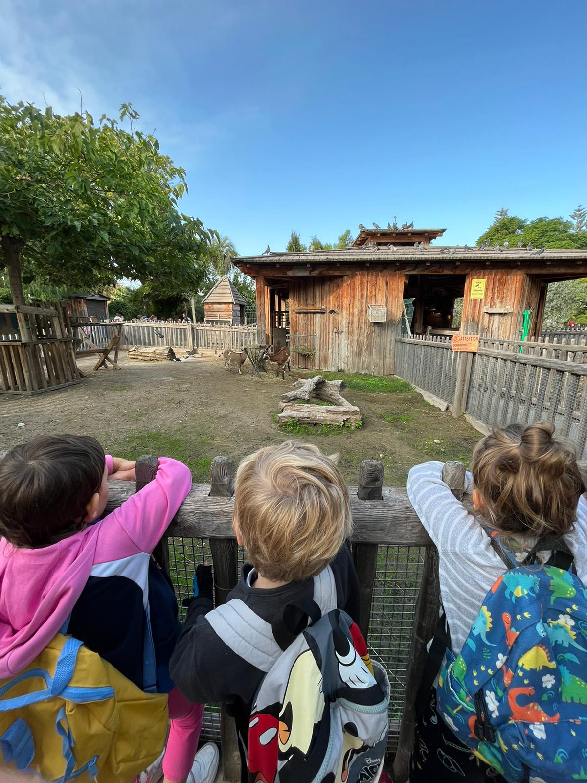 Découverte de la ferme lors d'une colonie de vacances pour enfants à Sospel avec l'association LSCA