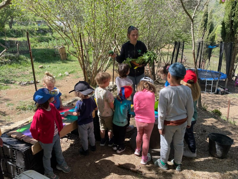 Activités en pleine nature pour les enfants avec LSCA