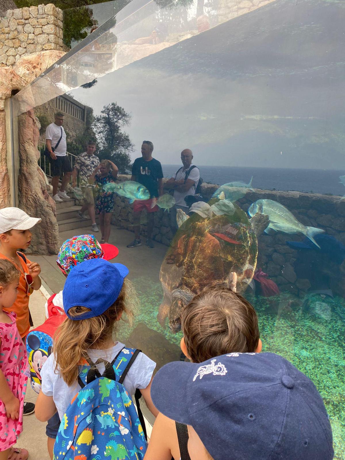 Les enfants découvrent la faune aquatique lors des activités de loisirs organisées par LSCA