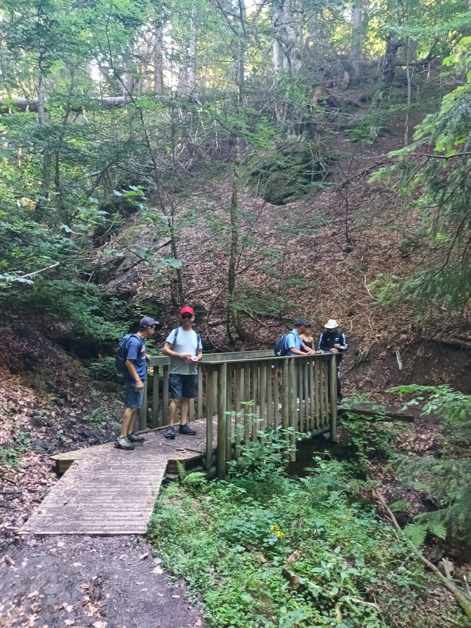 Randonnée en pleine nature lors d'un séjour de Vacances Adaptées