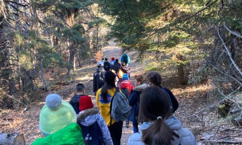 Randonnées en pleine nature lors des colonies pour enfants organisées par LSCA