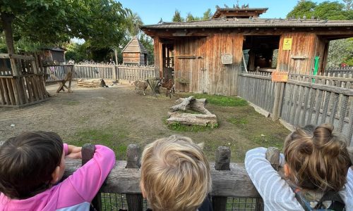 Découverte de la ferme lors d'une colonie de vacances pour enfants à Sospel avec l'association LSCA
