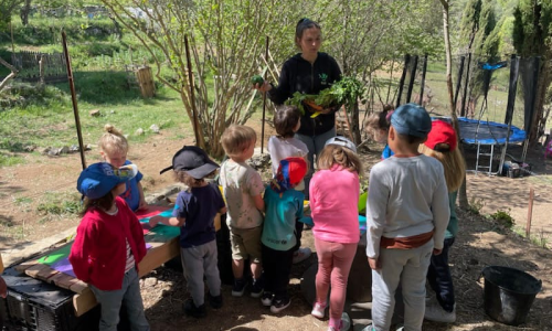 Activités en pleine nature pour les enfants avec LSCA