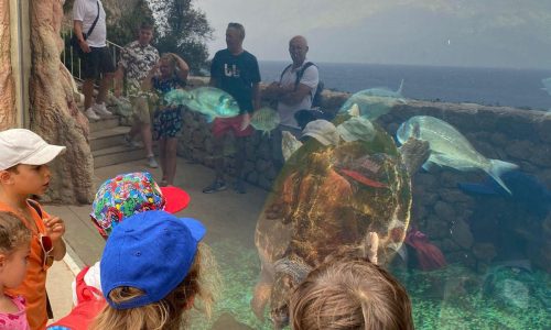 Les enfants découvrent la faune aquatique lors des activités de loisirs organisées par LSCA