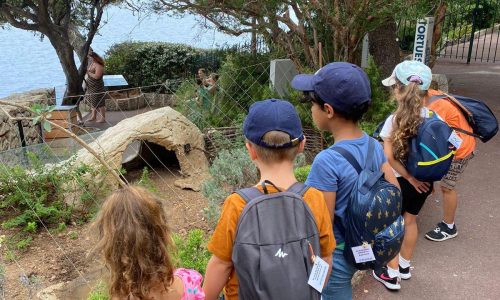 Découverte de le faune et de la flore lors des activités pour enfants organisées par le Pôle Jeunesse de LSCA