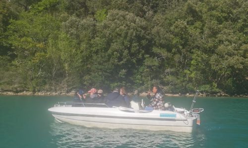 Virée en bateau, à la découverte de la nature lors d'un Séjours de Vacances Adaptées LSCA