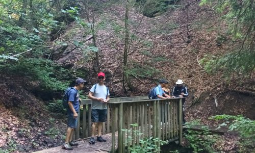 Randonnée en pleine nature lors d'un séjour de Vacances Adaptées
